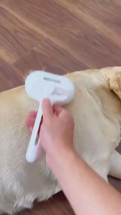 PawsProducts Grooming Steam Brush