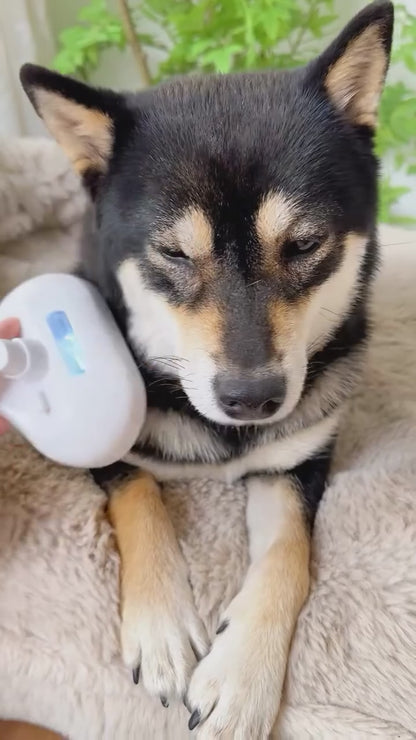 PawsProducts Grooming Steam Brush